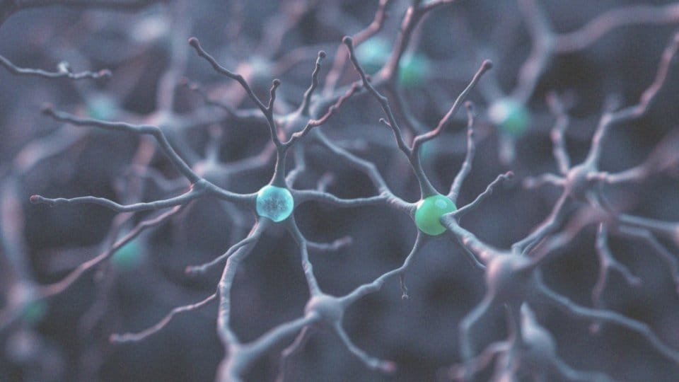 W jaki sposób wenlafaksyna wpływa na neuroprzekaźniki?