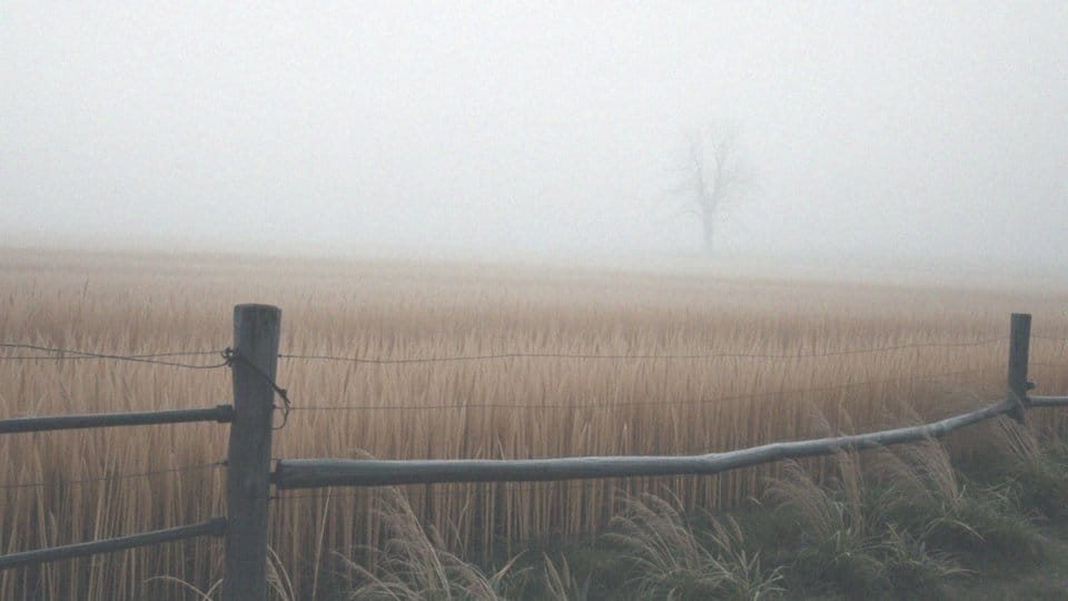 Jak sen o martwym płodzie może symbolizować potrzebę zmiany?