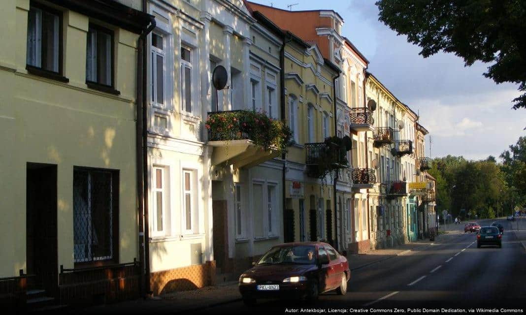 Jak Miasto Koło podejmuje działania na rzecz poprawy klimatu? Wspólnie działajmy!